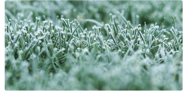 ¿Cómo mantener tu césped artificial en buen estado en invierno?