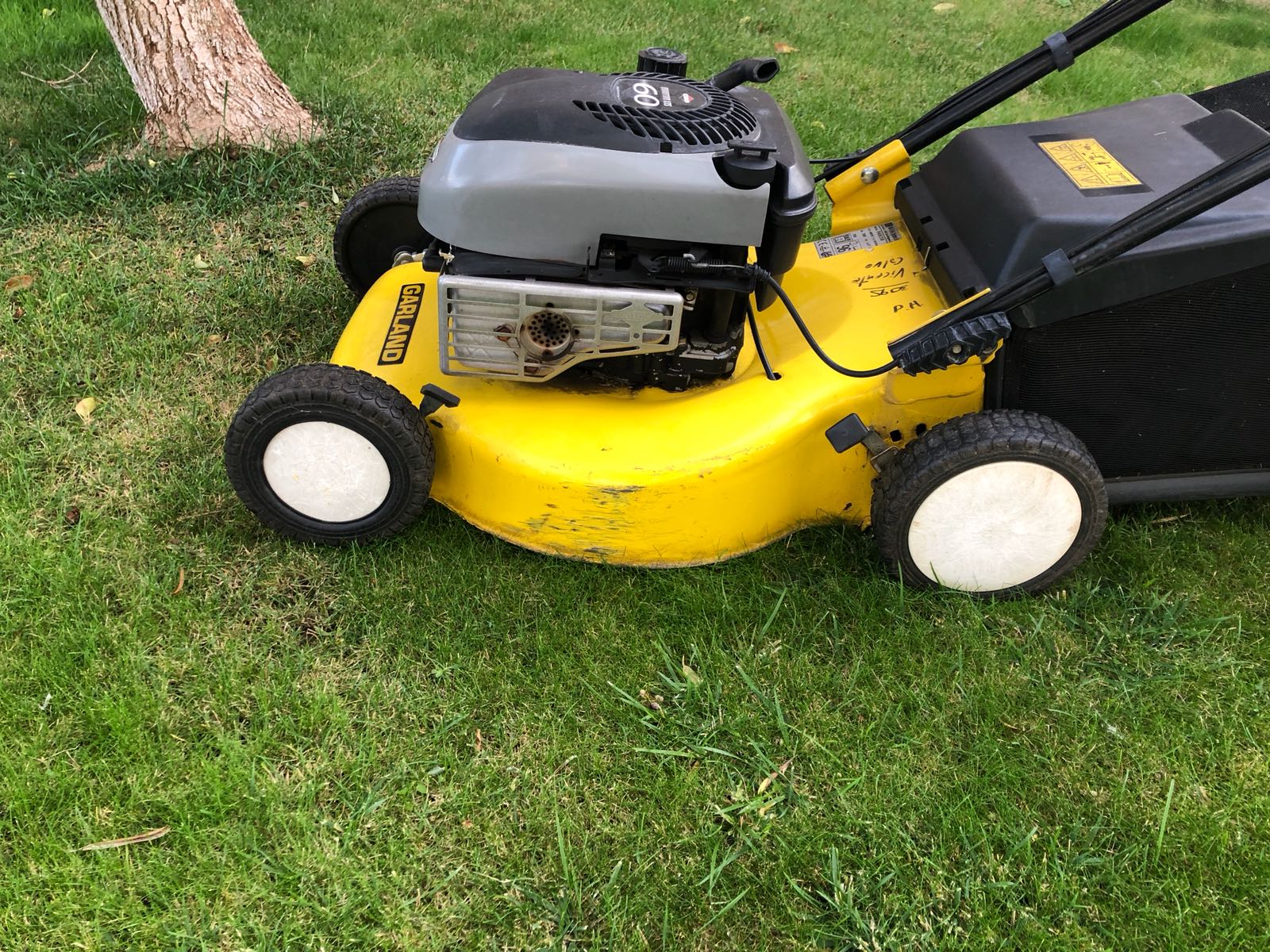 Ahorra dinero con césped artificial