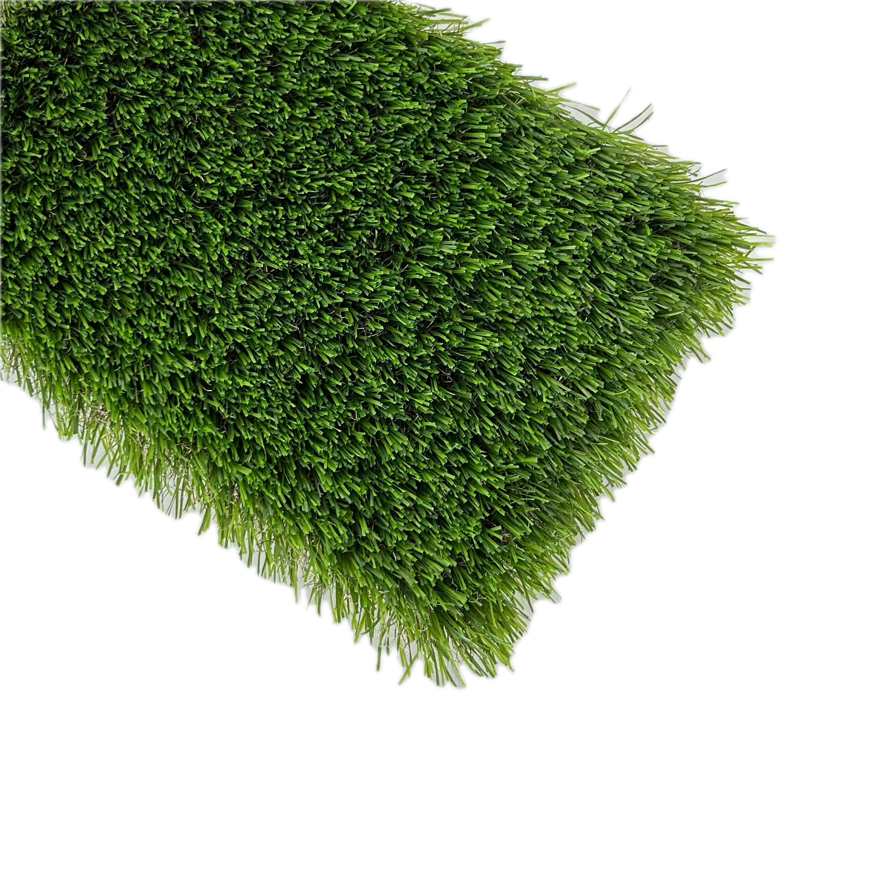 Lucerna-cesped-arriba