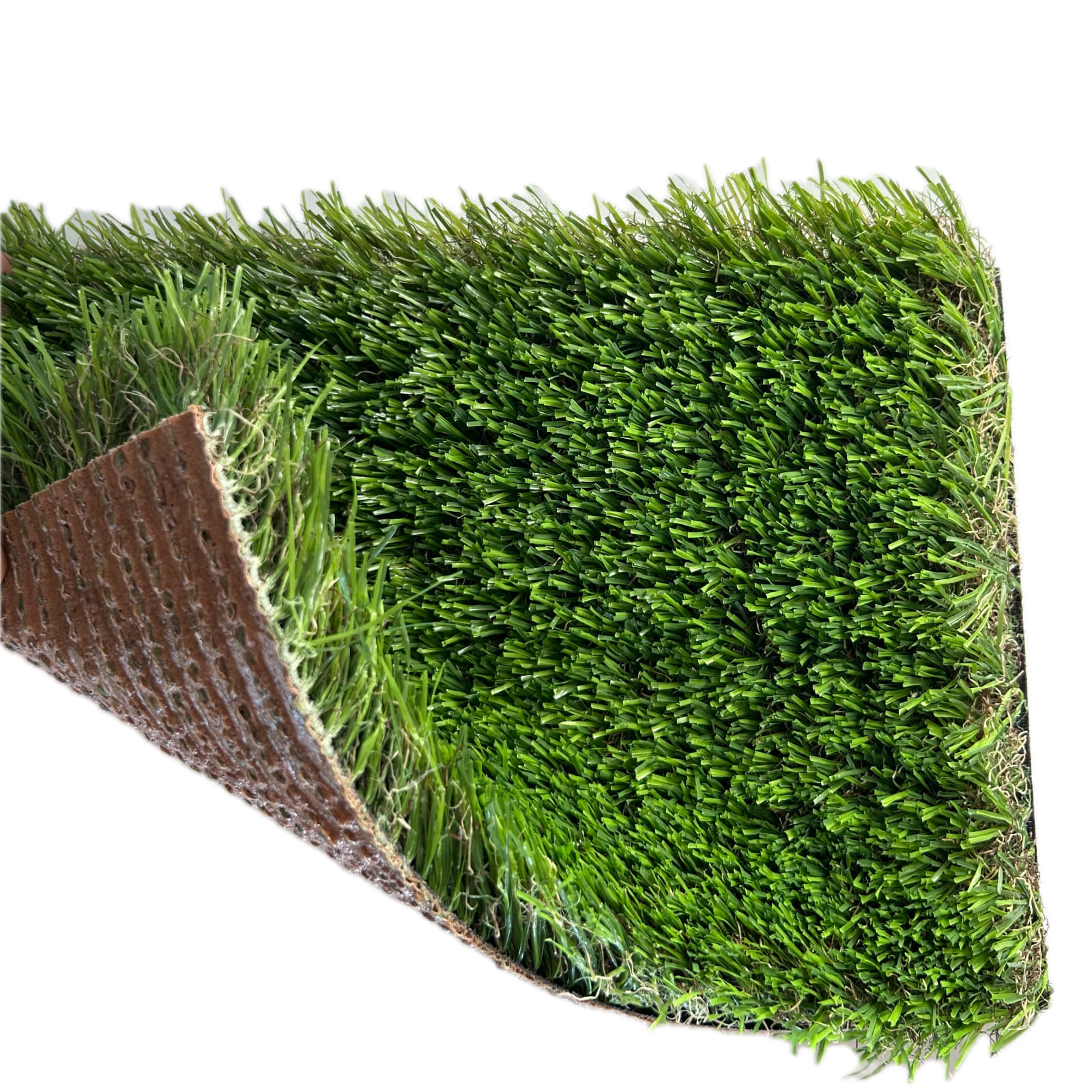 Lucerna-cesped-backing