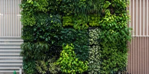 Cómo instalar un jardín vertical artificial