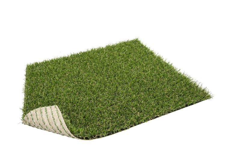 backing ecológico o ecobacking 1