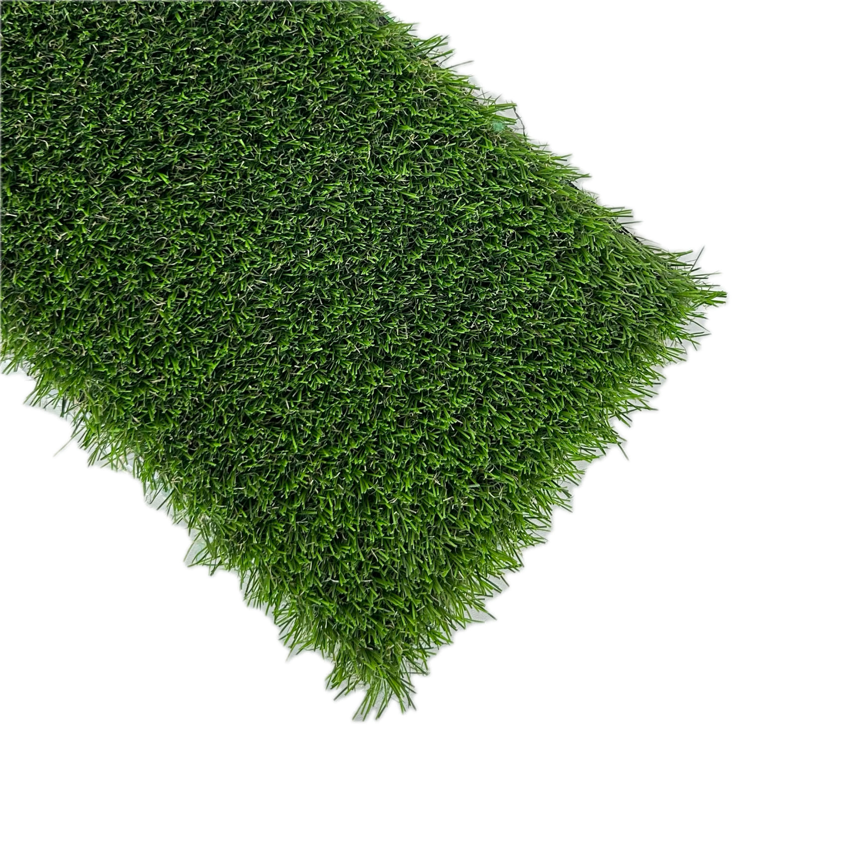 Heraclion-cesped-arriba